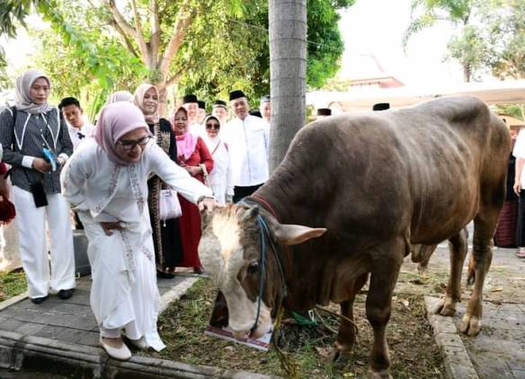 CuplikCom-Bupati-Nina-Serahkan-Seekor-Sapi-ke-Panitia-Kurban-Masjid-Agung-Indramayu-29062023151238-1688026151643.jpg