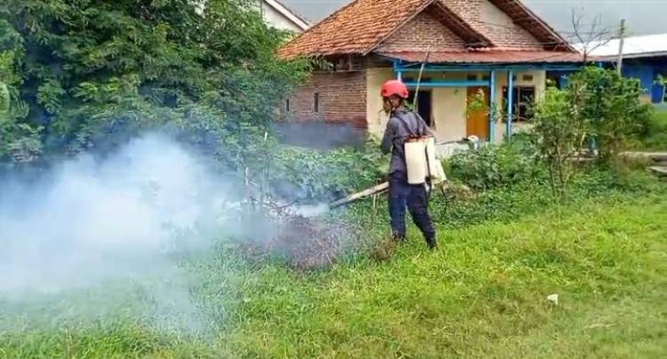 CuplikCom-Pasca-Warga-Terkena-DBD,-Pemdes-Karanganyar-dan-Tim-Relawan-Lakukan-Fogging-24032025145107-IMG-20250324-WA0053.jpg