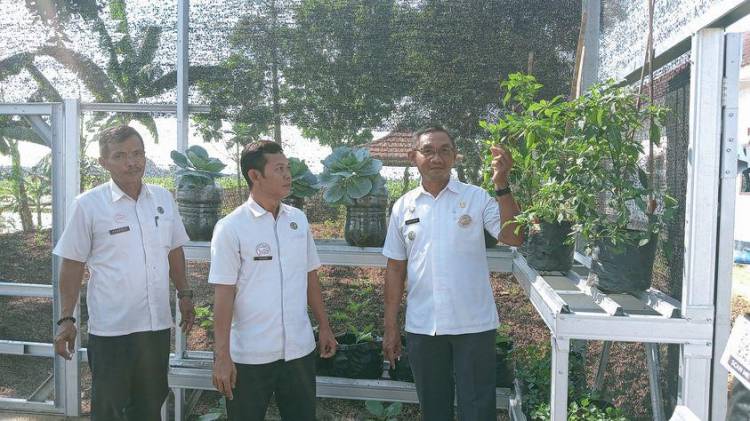 CuplikCom-Puspa-Kecamatan-Gabuswetan,-Siap-Produksi-Bibit-Tanaman-Sayuran-05072023153817-IMG-20230705-WA0066.jpg