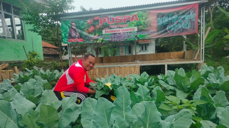 CuplikCom-Tindaklanjuti-Instruksi-Bupati,-Camat-Losarang-Sukses-Bangun-Kebun-Puspa-18022023091436-IMG-20230218-WA0000.jpg